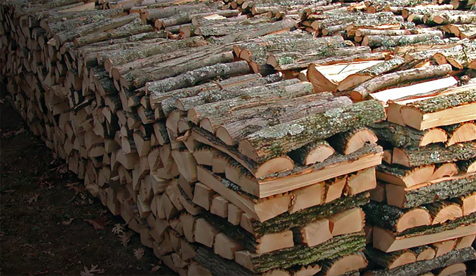 Лісівники Закарпаття встановили ціни на дрова-2019