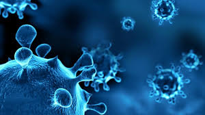 За добу в Ужгороді виявлено 91 новий випадок коронавірусної інфекції