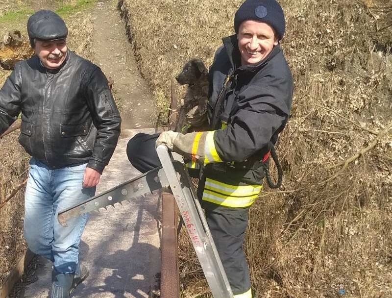 ФОТОФАКТ. У Воловці рятувальники врятували песика зі сміття в річці