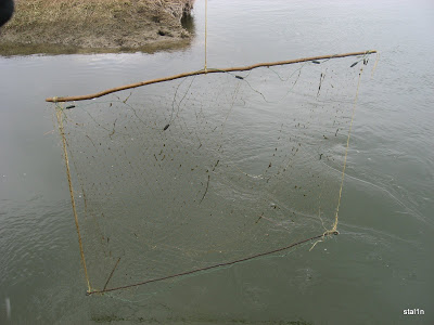 Завдяки дзвінку на "гарячу лінію" поблизу Ужгорода на Ужі викрили двох рибалок з "екранами"