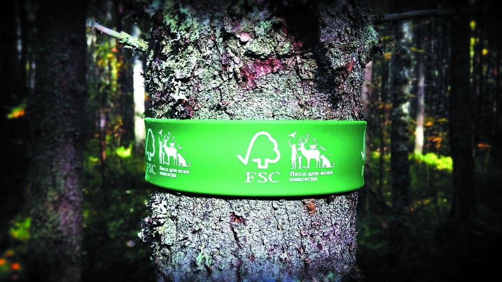 Берегівські лісівники підтвердили міжнародний сертифікат FSC®