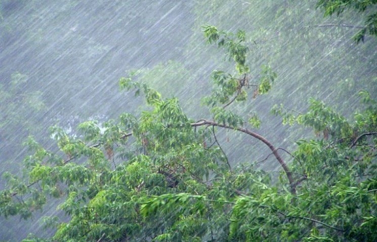 Закарпатські синоптики попереджають про грози та сильні зливи сьогодні