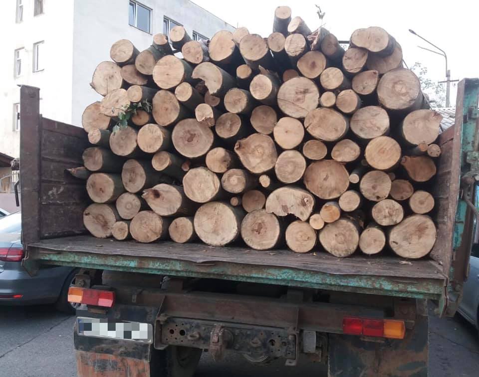 На Мукачівщині зупинили водія, який нелегально перевозив ліс (ФОТО)