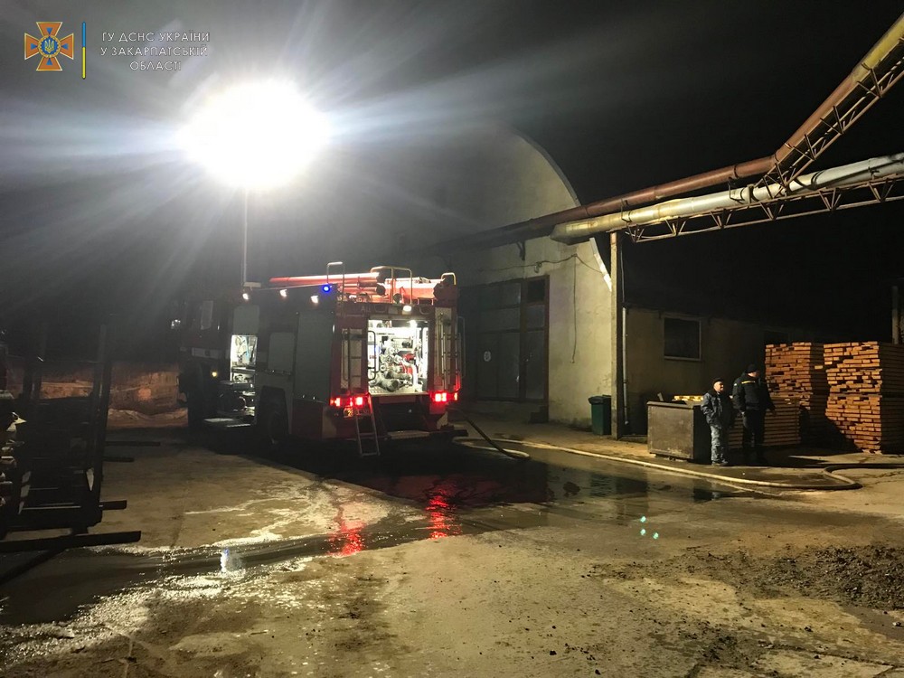 У Дубриничах на Ужгородщині сталася пожежа на території деревообробного підприємства (ФОТО)