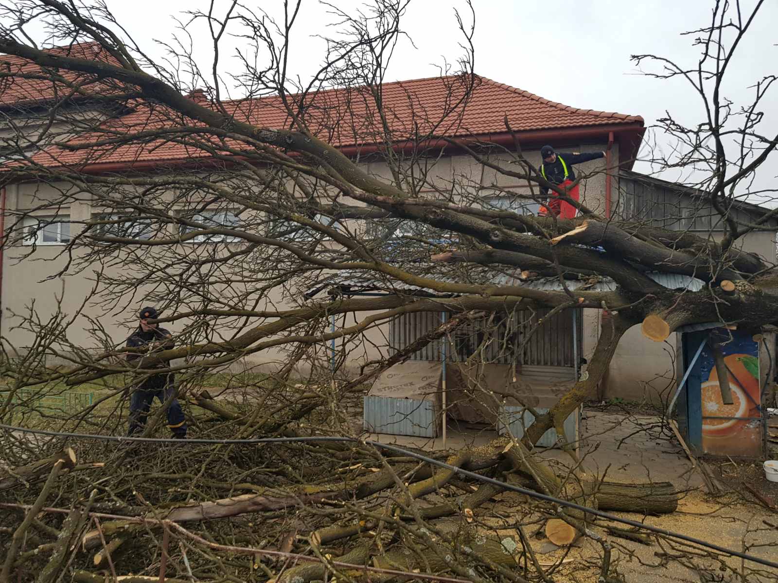У Сваляві вітер повалив дерево на торгову ятку (ФОТО)