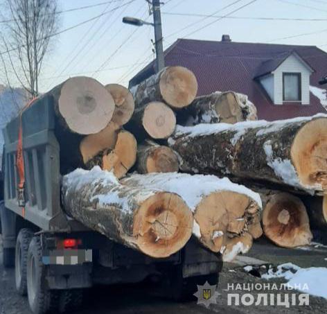 На Тячівщині зупинили вантажівку з деревиною без відповідних документів (ФОТО)