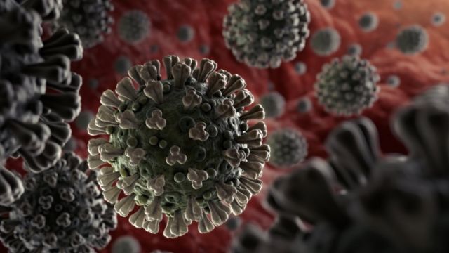 За минулу добу в Ужгороді виявлено 73 нові випадки коронавірусної інфекції, 5 людей померли