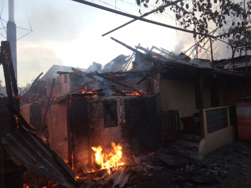 Під час пожежі в житловому будинку на Виноградівщині, що перекинулася на хлів, загинули свійські тварини (ФОТО)