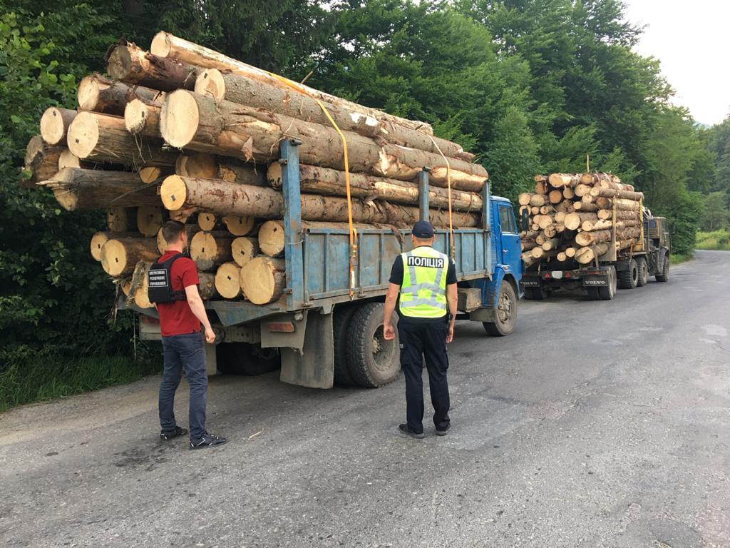 На Рахівщині зупинили дві вантажівки з деревиною без документів і "повторними" чіпами (ФОТО)