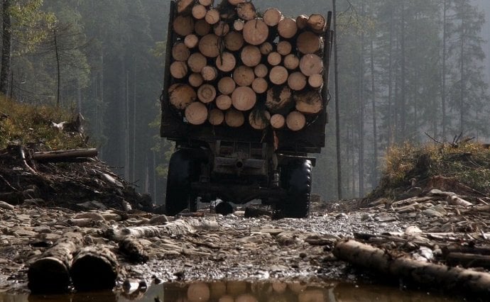На Тячівщині зупинили авто з діловим лісом без чіпів та документів