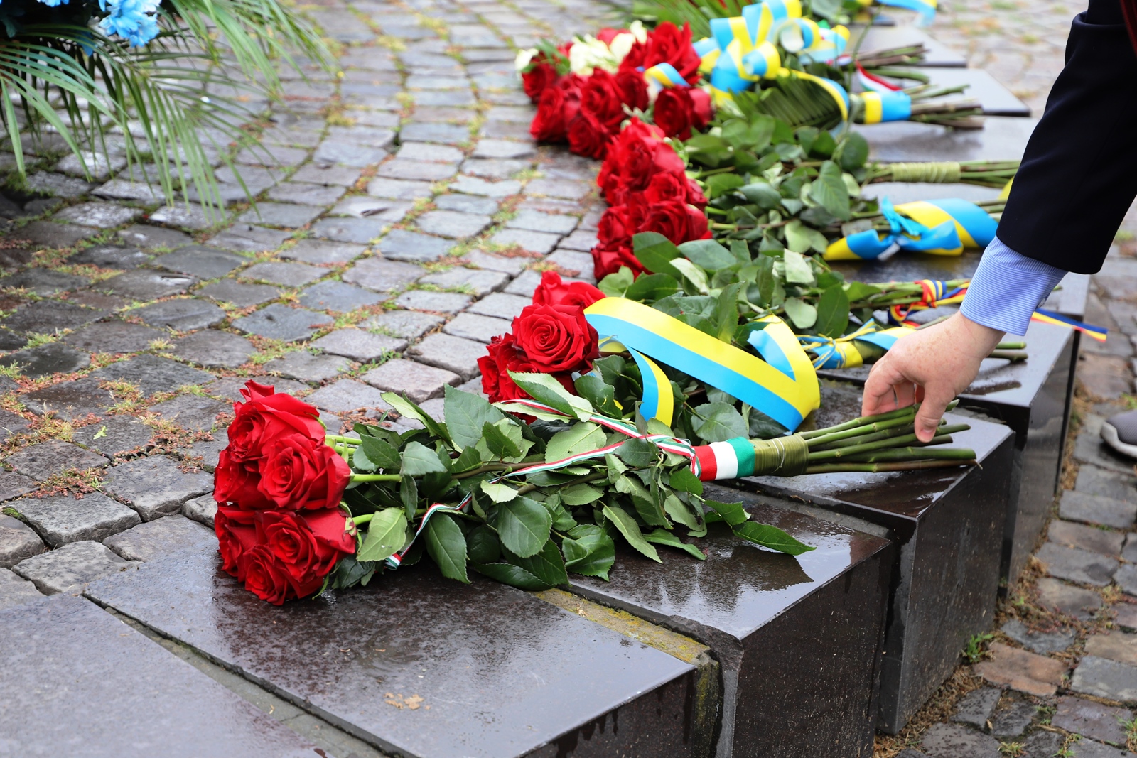 До 30-річчя Незалежності України в Ужгороді відбулися офіційні урочистості, марш пам'яті та концерт (ФОТО)