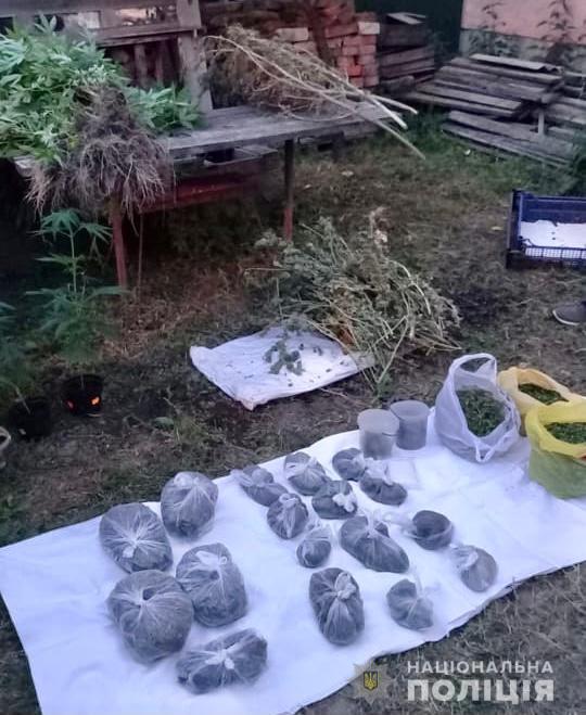 Під час обшуку помешкання фігуранта злочину в Хусті знайшли близько 2 кг марихуани (ФОТО)