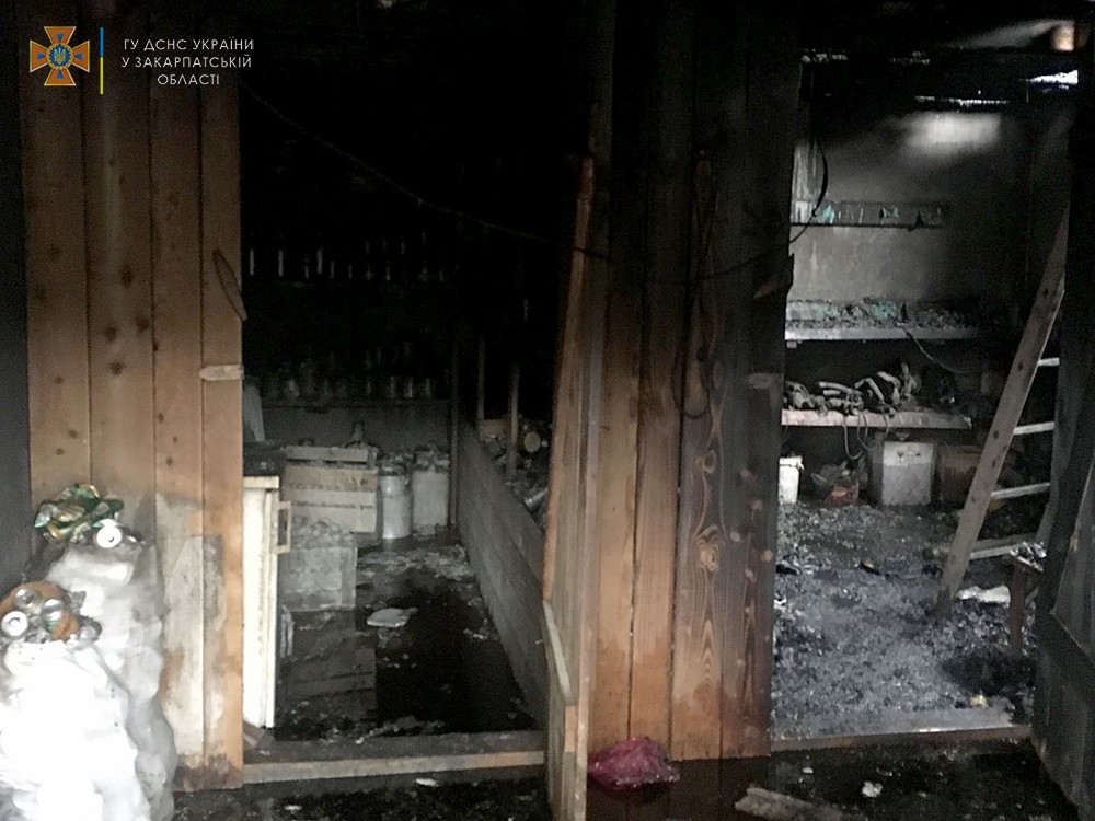 На Тячівщині пожежа у прибудові загрожувала знищенням житлового будинку (ФОТО)