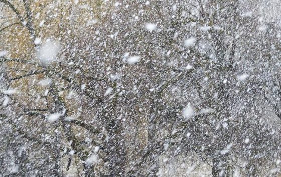 30 січня на Закарпатті прогнозують сильний сніг