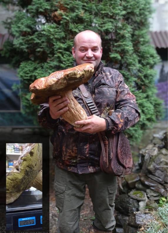 На Рахівщині лісничий знайшов гігантський боровик вагою 3 кг (ФОТО)