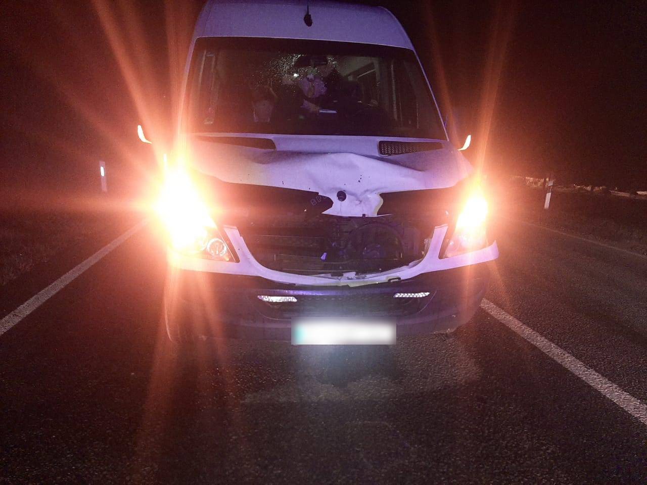 На Берегівщині, перебігаючи дорогу, жінка загинула під колесами мікроавтобуса (ФОТО)