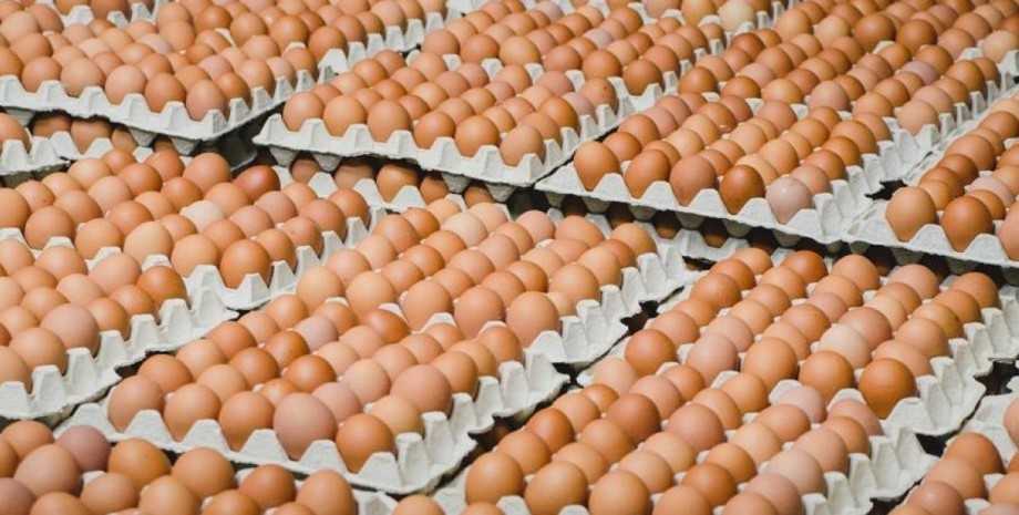 Найбільше на Закарпатті у листопаді подорожчали яйця – на 9,9%