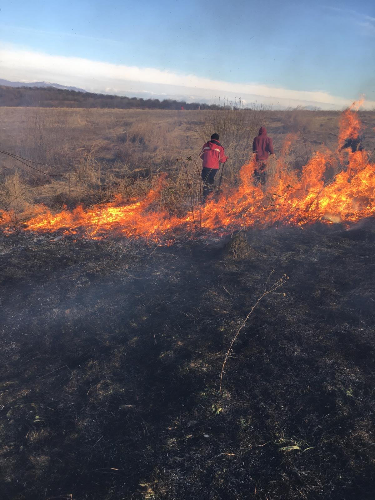 За добу на Закарпатті 18 разів горіла суха трава, під час спалювання лози постраждав чоловік (ФОТО)