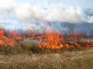 На Рахівщині на пожежі сухої трави виявили тіло жінки