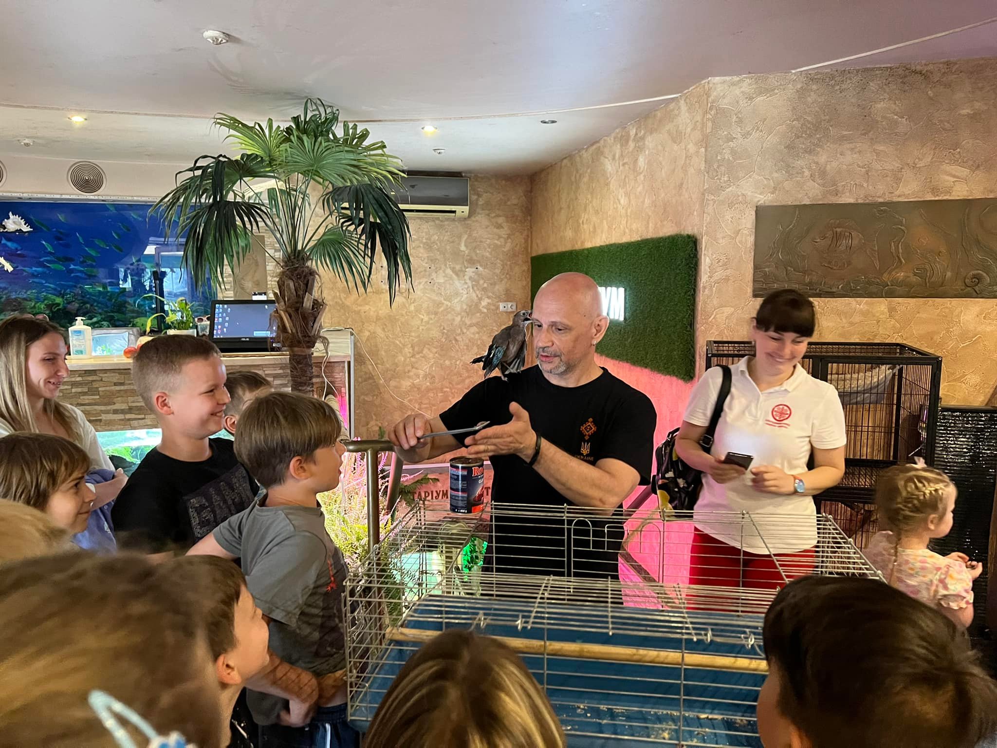 Про проблему пташенят-зльотків розповідали на заході для дітей в Ужгороді (ВІДЕО)