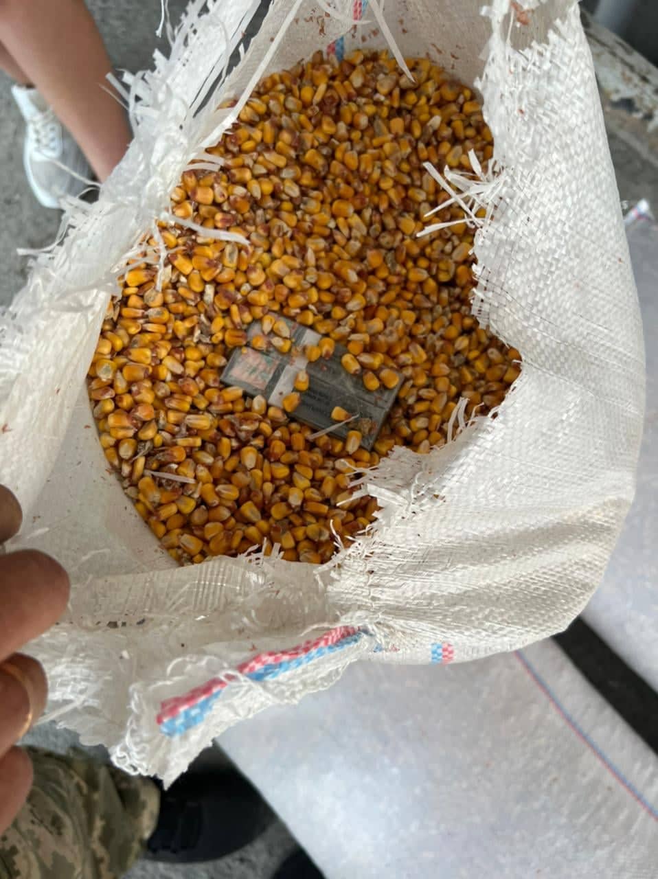 На Закарпатті жінка намагалася провезти через кордон 128 пачок сигарет у мішках з насінням кукурудзи (ФОТО)