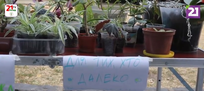 В Ужгороді на благодійному ярмарку кімнатних рослин збирали кошти на авто для військових (ВІДЕО)