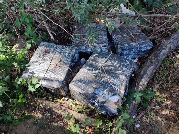 На Закарпатті неподалік кордону з Румунією у гіллі виявили сховок з сигаретами (ФОТО)