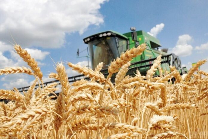 Закарпатського фермера оштрафували на 13 тис. грн за пшеницю на землях ЗСУ