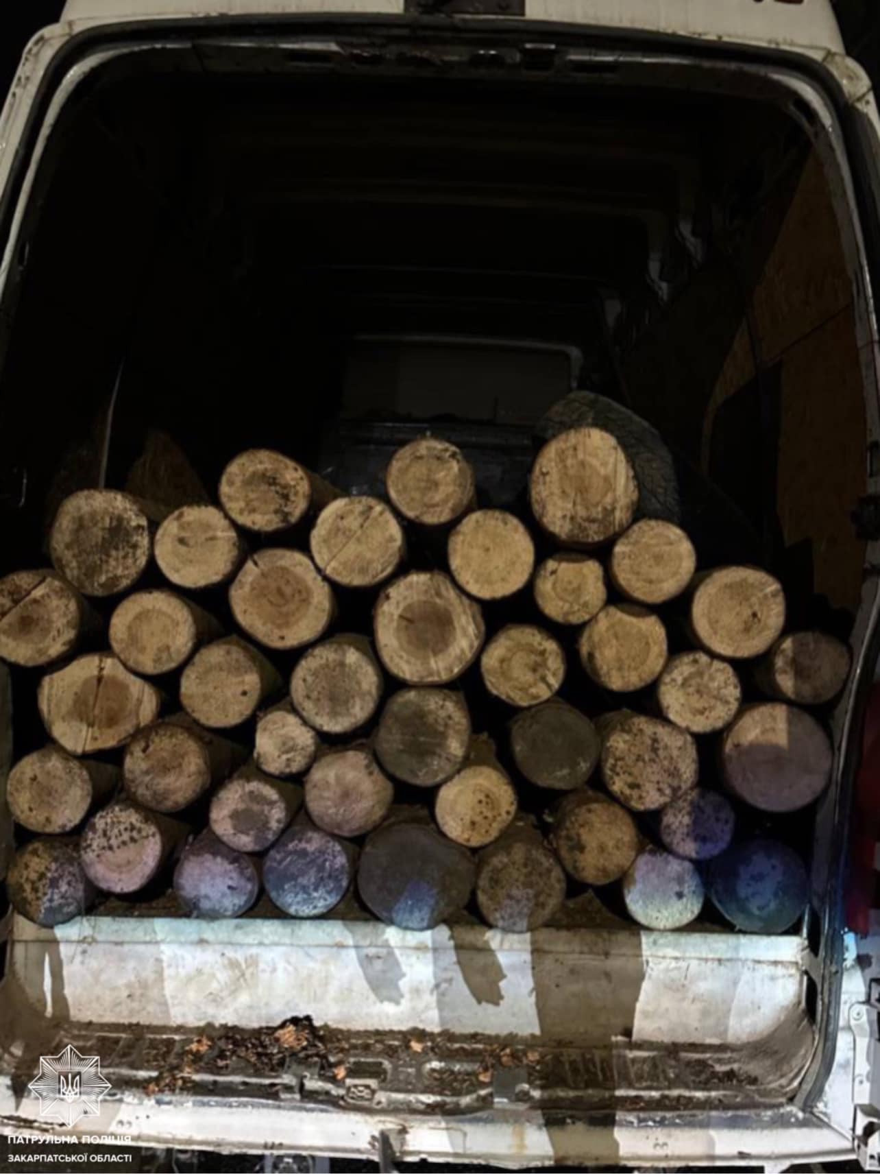 У Нижніх Воротах на Закарпатті зупинили водія, який перевозив деревину без документів (ФОТО)