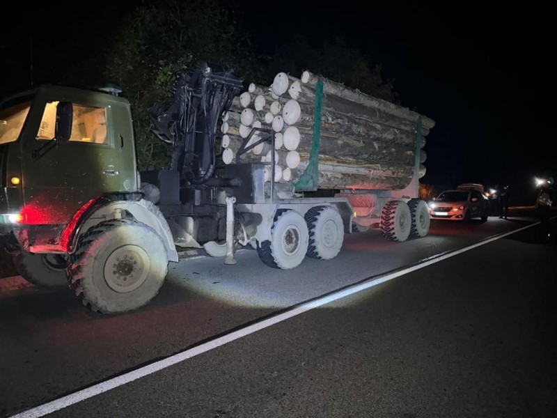 На Рахівщині поліція вилучила вантажівку з нелегальною деревиною (ФОТО)