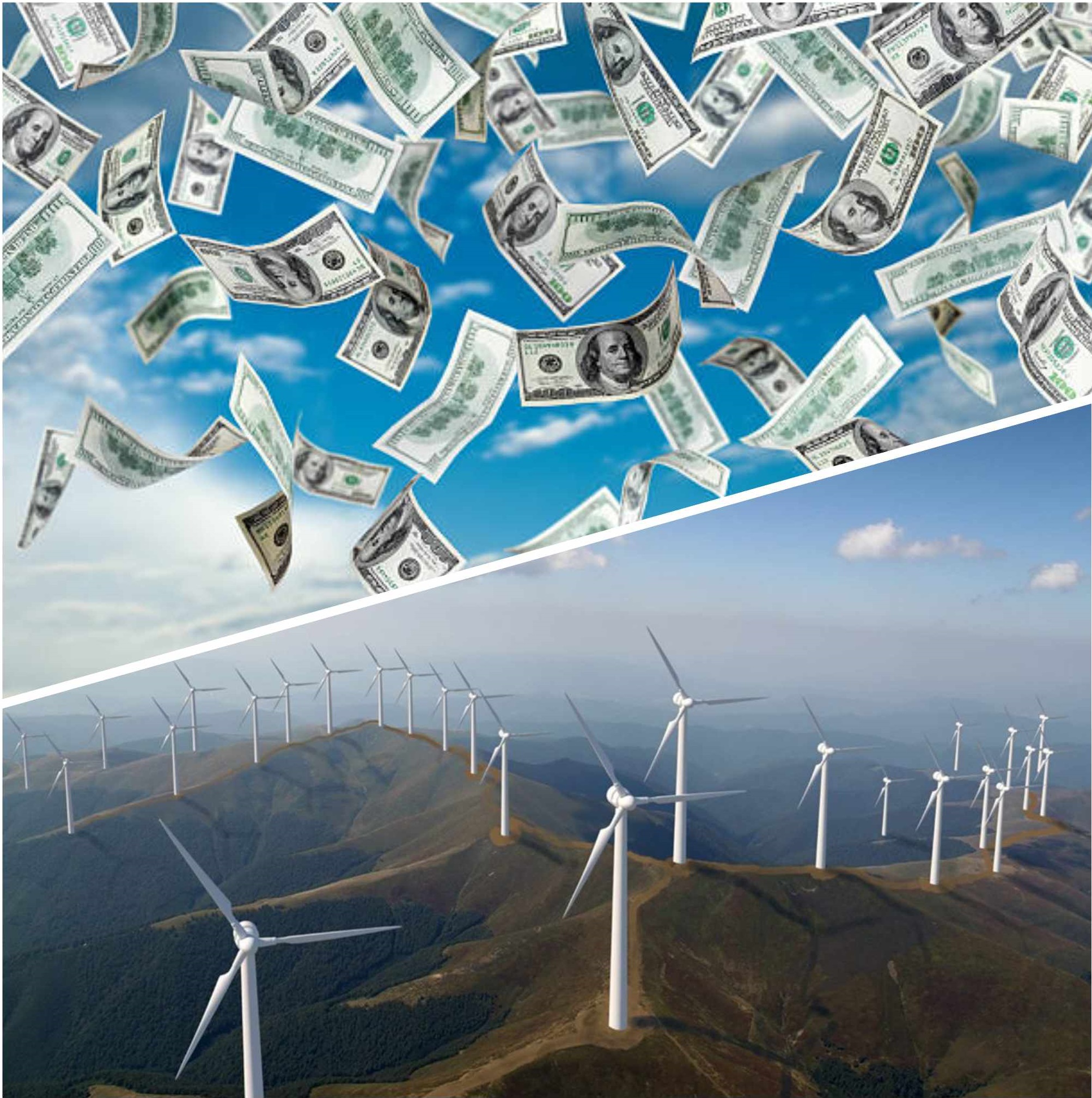 Вітер, гроші, полонини. Як фірми нардепа Максима Єфімова полюють за зеленою енергією у високогір’ї Карпат