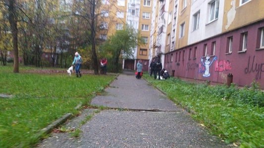 В Ужгороді дівчина випала з 4 поверху і вижила