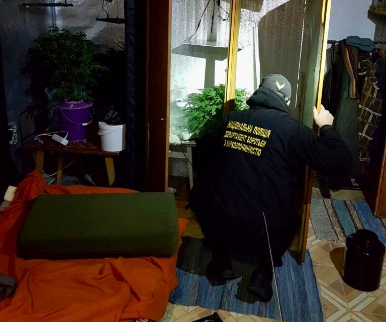 На Ужгородщині у фігуранта кримінальних проваджень виявили майже 1 кг марихуани та мінілабораторію (ФОТО)