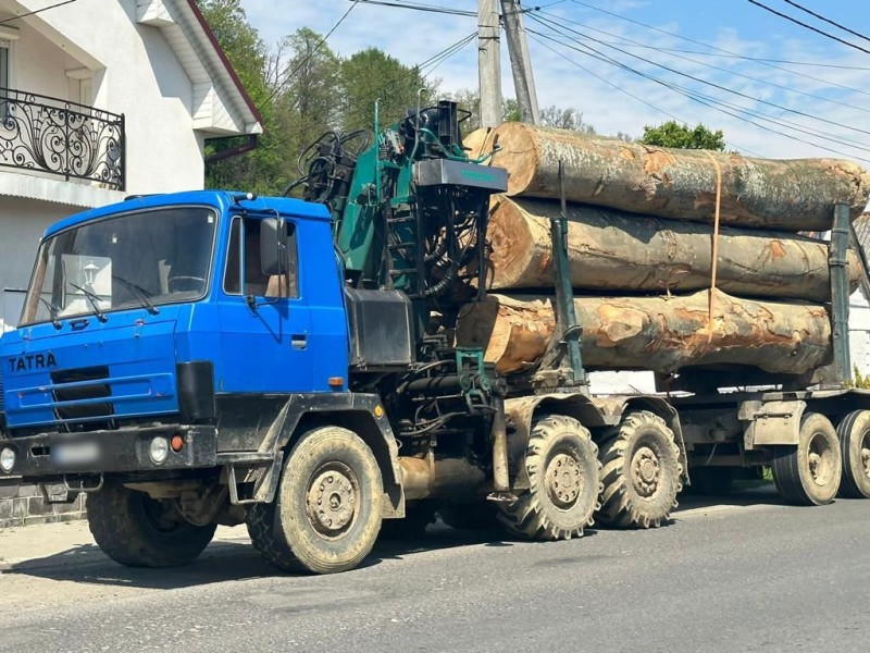 На Закарпатті затримали дві вантажівки, що транспортували нелегальну лісопродукцію (ФОТО)