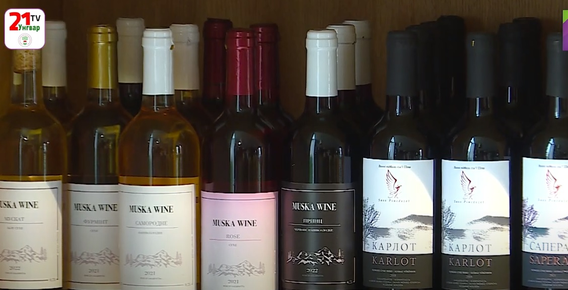 Конкурс вин за міжнародними правилами проведуть на Закарпатті (ВІДЕО)