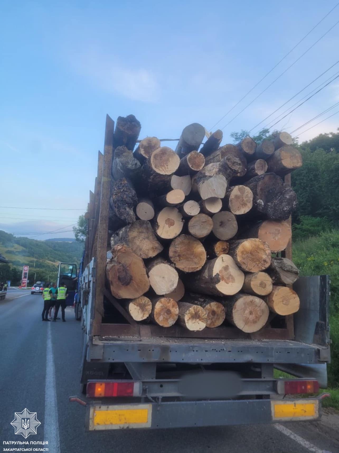 На Закарпатті зупнили водія, який незаконно перевозив деревину бука (ФОТО)