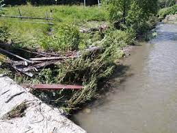 На Ужгородщині внаслідок сильної зливи з місцевого потічка на дорогу винесло гілля