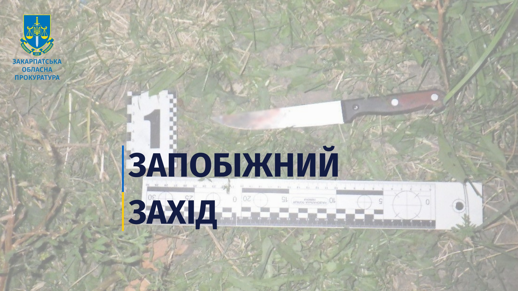 Жителя Чинадійова, що вдарив родича ножем у живіт, взяли під варту без права на заставу (ФОТО)