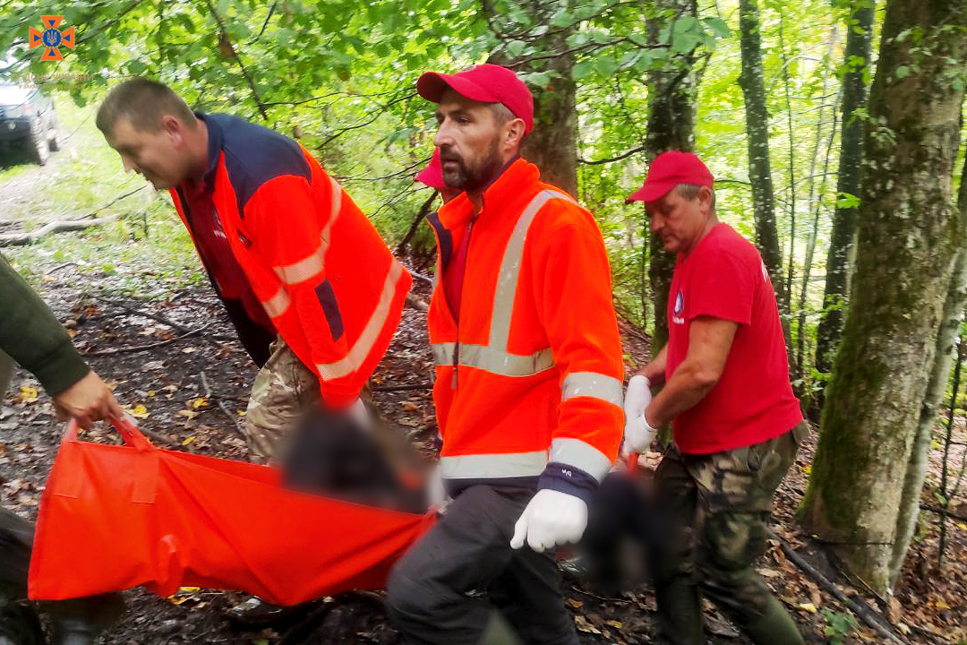 Розшукуваного на Рахівщині грибника знайшли мертвим у лісі (ФОТО)