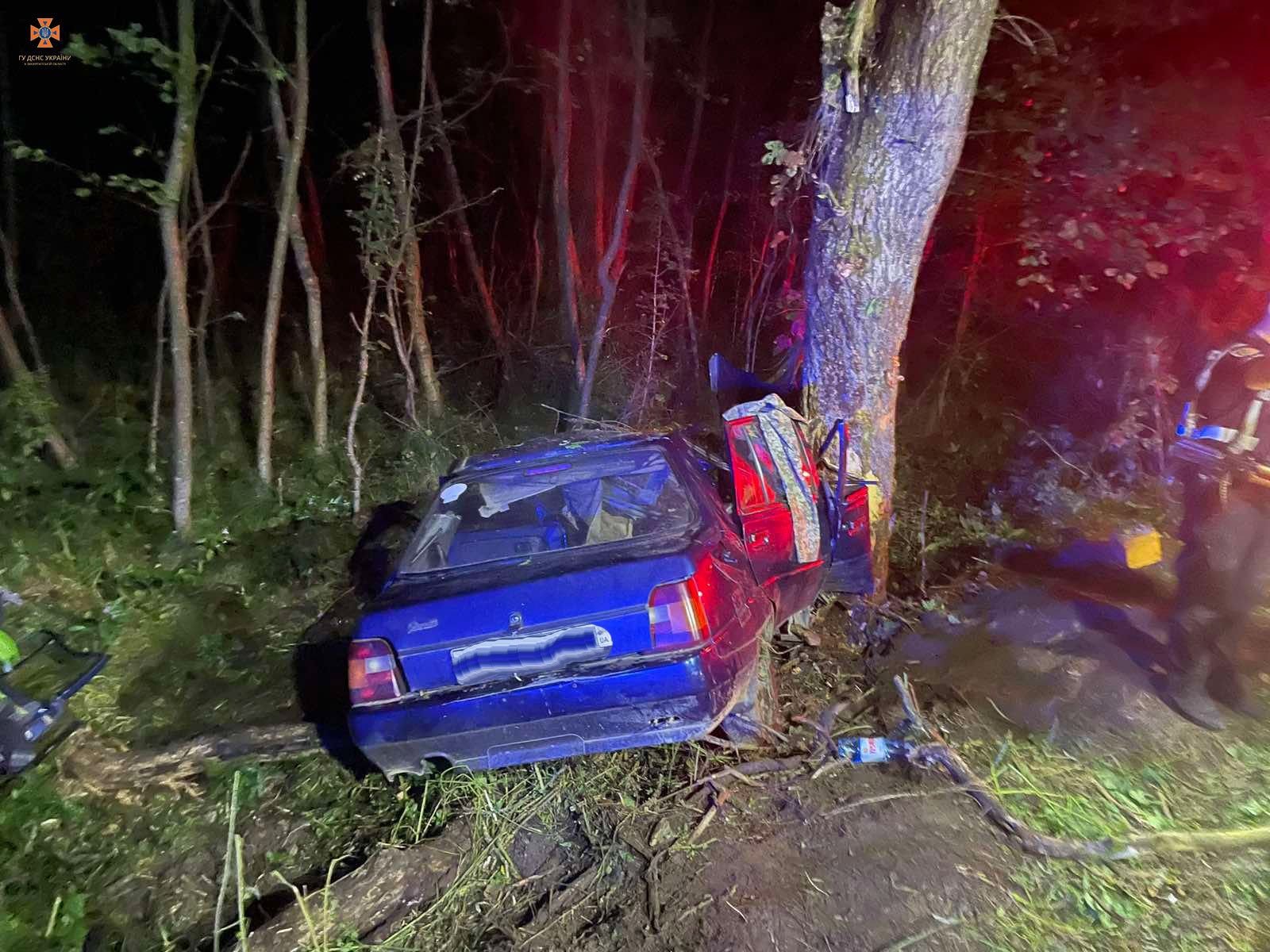 Водій з'їхав у кювет і зіткнувся з деревом – у поліції розповіли подробиці смертельної ДТП на Ужгородщині (ФОТО)
