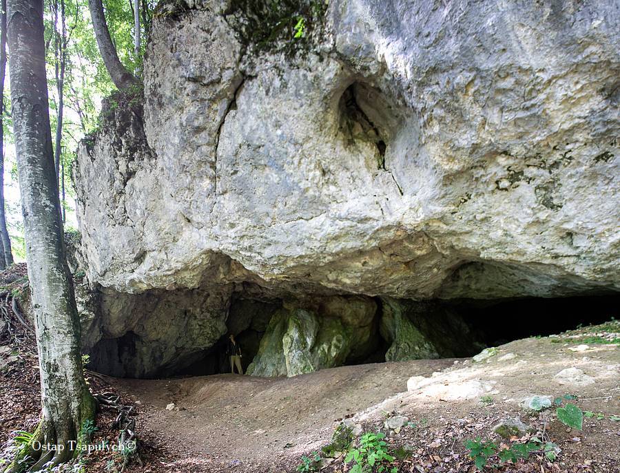 Карпатський біосферний заповідник зобов'язали укласти з ОВА охоронний договір для збереження печерної стоянки доби палеоліту