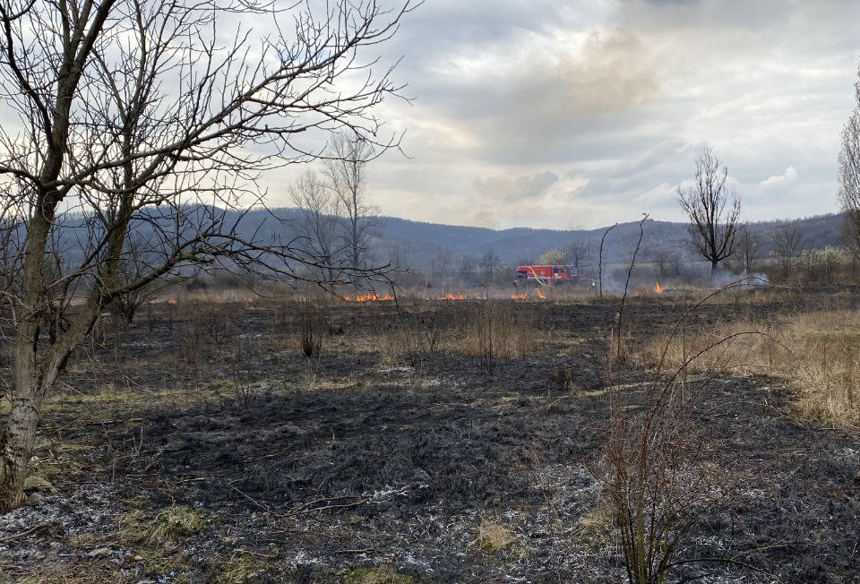 На Закарпатті за вихідні сталося 18 пожеж сухостою загальною площею 3,5 га (ФОТО)