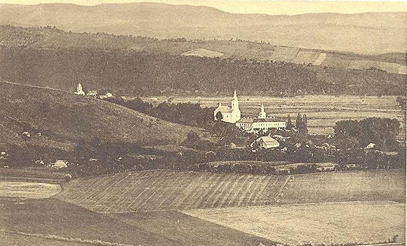 Краєвид околиць Мукачевого із монастирем (архівне фото)