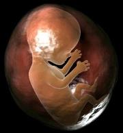 Про фізіологічні та психічні наслідки абортів говоритимуть у прес-центрі “Закарпаття”
