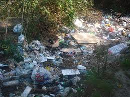 Жителі Рахівщини через бездіяльність комунальників викидають сміття у річку