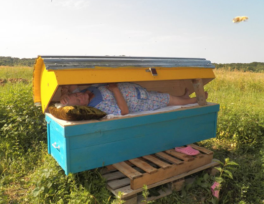 Закарпатка відроджує в селі Ярок лікування бджолами (ВІДЕО)