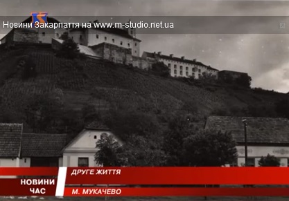 Схили замкової гори в Мукачеві розчищають від чагарників під виноградники (ВІДЕО)