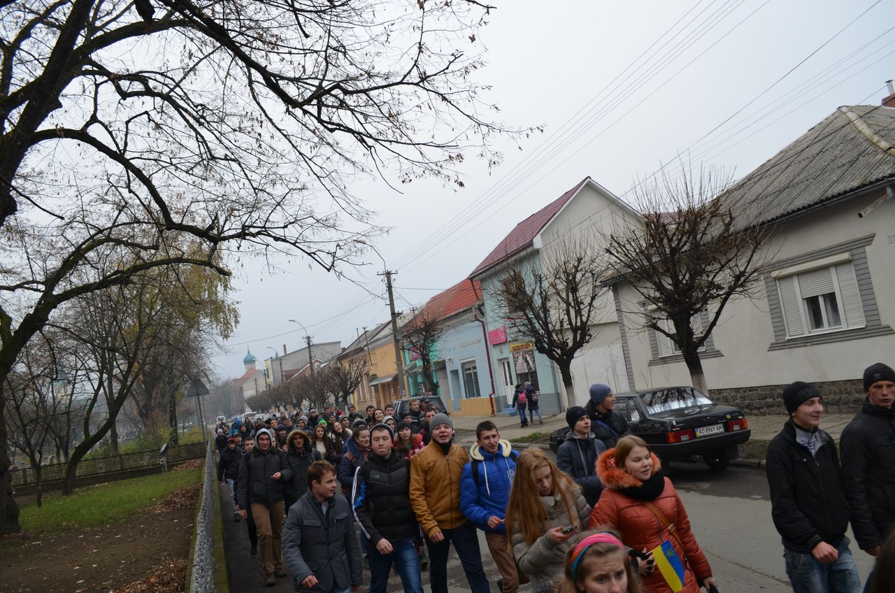 Студенти та учні Виноградова вийшли на вулиці, аби підтримати страйк (ФОТО, ВІДЕО)