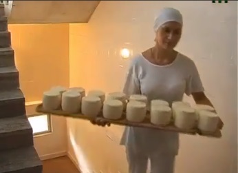 У "Селиській сироварні" 8 працівників за добу переробляють 1,5 тони молока (ВІДЕО)
