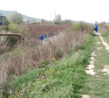 Мукачівські водники чистять Коропецький канал (ВІДЕО)